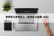 世界杯小世界杯小（世界杯小组赛 2022）
