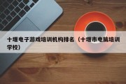 十堰电子游戏培训机构排名（十堰市电脑培训学校）