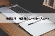 杨磊篮球（杨磊国家队400米个人资料）