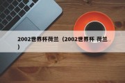 2002世界杯荷兰（2002世界杯 荷兰）
