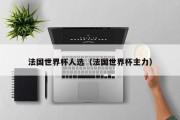 法国世界杯人选（法国世界杯主力）