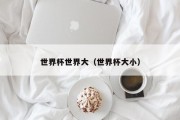 世界杯世界大（世界杯大小）