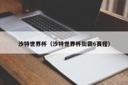 沙特世界杯（沙特世界杯街霸6赛程）