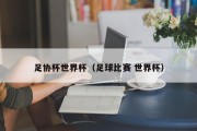 足协杯世界杯（足球比赛 世界杯）