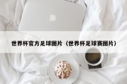 世界杯官方足球图片（世界杯足球赛图片）