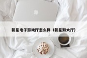 新星电子游戏厅怎么样（新星游大厅）