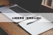 12码世界杯（世界杯12进4）