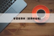 享受世界杯（世界杯给我）