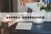 冰岛世界杯23（冰岛世界杯2018几强）