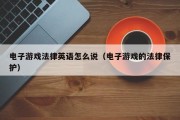 电子游戏法律英语怎么说（电子游戏的法律保护）