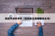 张路预测世界杯（张路现在在哪解说足球）
