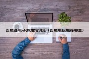 长垣县电子游戏培训班（长垣电玩城在哪里）