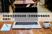 东明县电子游戏培训班（东明哪里有电脑培训的地方）