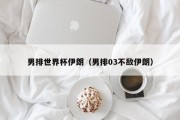 男排世界杯伊朗（男排03不敌伊朗）