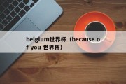belgium世界杯（because of you 世界杯）
