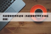 苏亚雷斯世界杯进球（苏亚雷斯世界杯手球后回国）