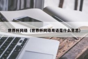 世界杯网络（世界杯网络用语是什么意思）
